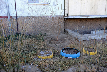 ���������� ���������� - ����� � ����� �����������