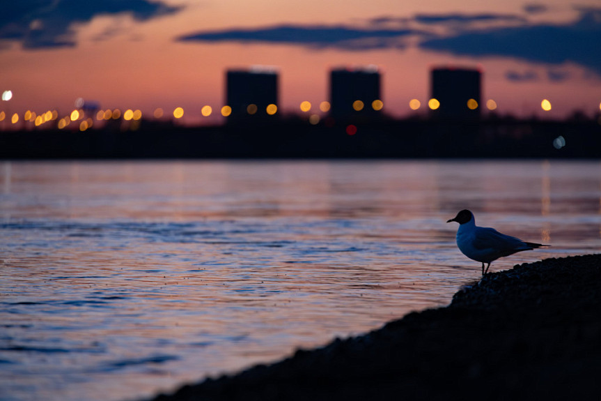 ����� �� ������ ����. ����� �� ���� ���� ������ � ��������� ��������. Irkutsk 