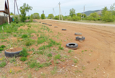 ������ ������������� ���� �������� �� ������� ��������� � ������ ����-���. 2024 ���