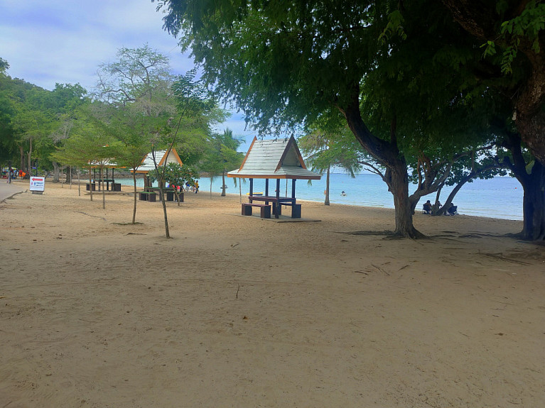 �������. ����. �������. A tree on the beach in Thailand