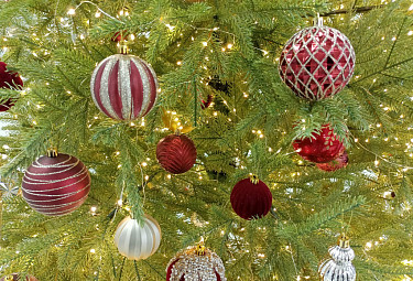 ���������� ���� � �������� ���������. New year tree