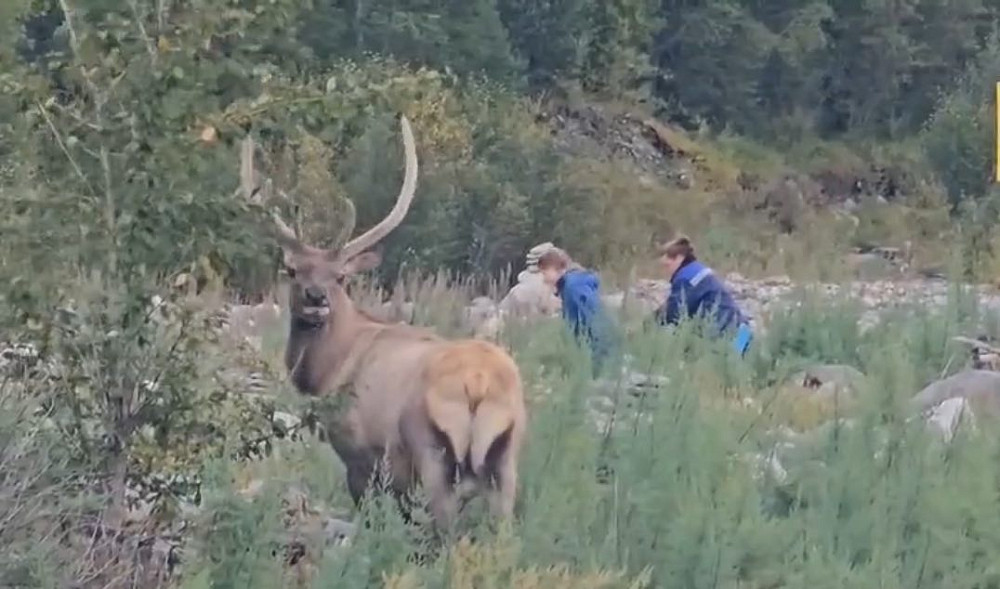 Бейтаныс адамға ауызша жыныстық қатынас жасаған