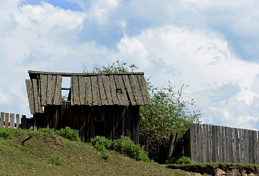 Заброшенный, разрушенный деревенский дом