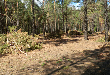 ����� ����� ����� ��������� ����