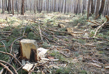 ��������� ���