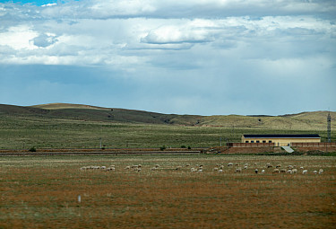��������. ����������� �������������� - ����� � �����. Mongolia