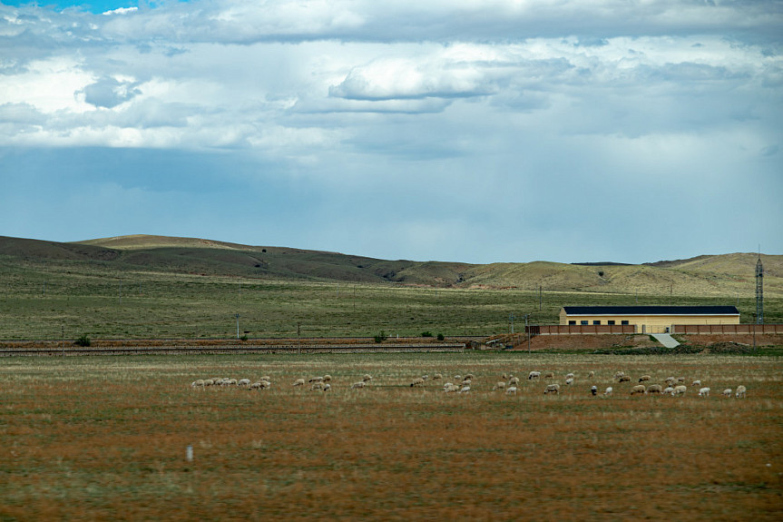 ��������. ����������� �������������� - ����� � �����. Mongolia