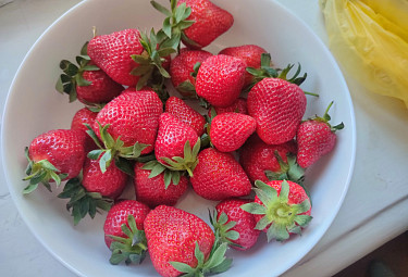 �������� �������. �������� �� ����������� ��������� � ������. Strawberries from Kyrgyzstan