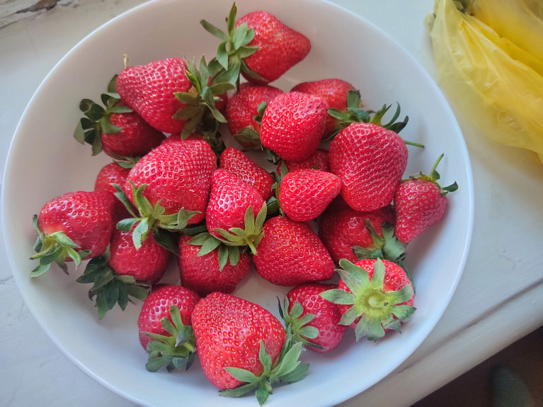 �������� �������. �������� �� ����������� ��������� � ������. Strawberries from Kyrgyzstan