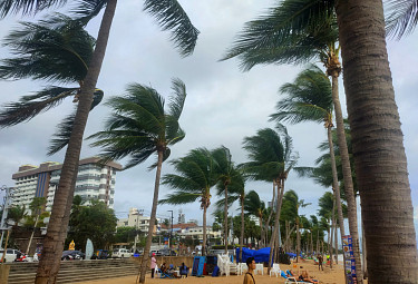 ����� � ��������. �������. ������� �������� ��� ��������. Pattaya. Thailand. Tourism