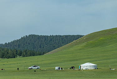 ��������. ����, ������ � �������� ���� � �����. Mongolia. Mongolian steppe