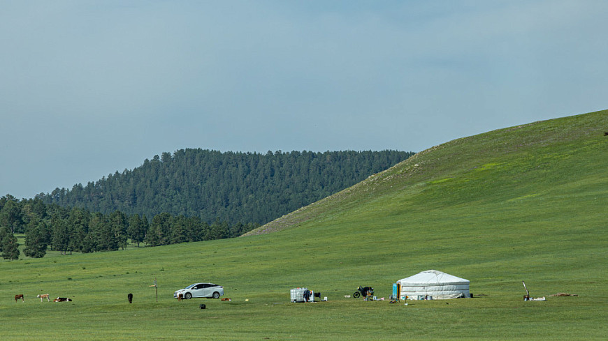 ��������. ����, ������ � �������� ���� � �����. Mongolia. Mongolian steppe