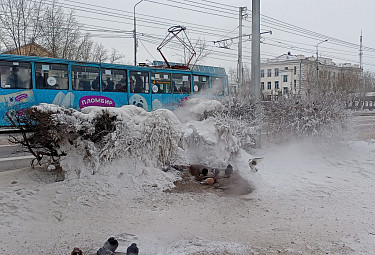 Теплопотери в ЖКХ Улан-Удэ. Парящий люк теплотрассы на улице Терешковой (январь 2024 года)