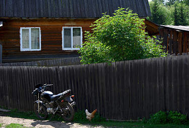Мотоцикл, забор, деревенский дом, курица