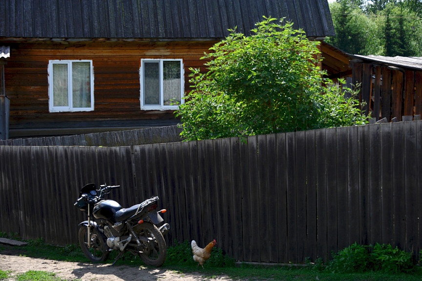 Мотоцикл, забор, деревенский дом, курица