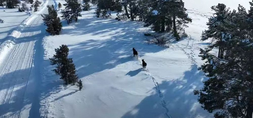 Девушка идет по дороге. Дорога. Дорога уходящая вдаль. Навстречу нам вдоль дороги брели. Фотосессия на дороге.