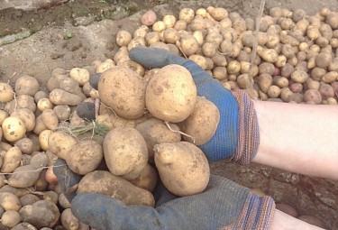 ���������, ������, �������� ���������