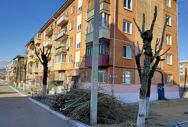 Улан-Удэ. Обрезка деревьев у дома по бульвару Карла Маркса, 6 