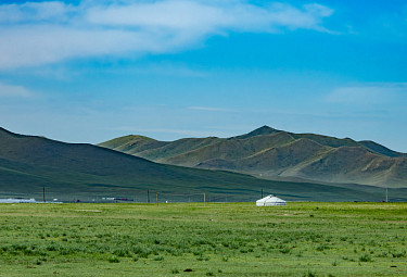 ��������. ���� � ����� �� ���� ���. A yurt in the Mongolian steppe