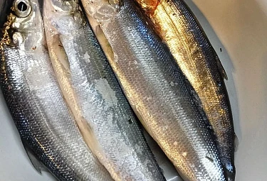 ����������� ����� � ����