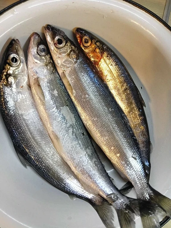 ����������� ����� � ����