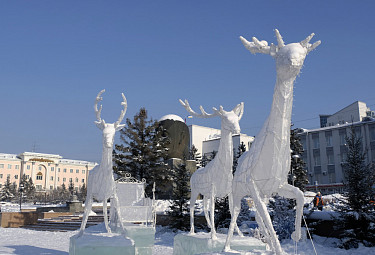Бурятия. Улан-Удэ. Новогодние северные олени с санями на главной площади