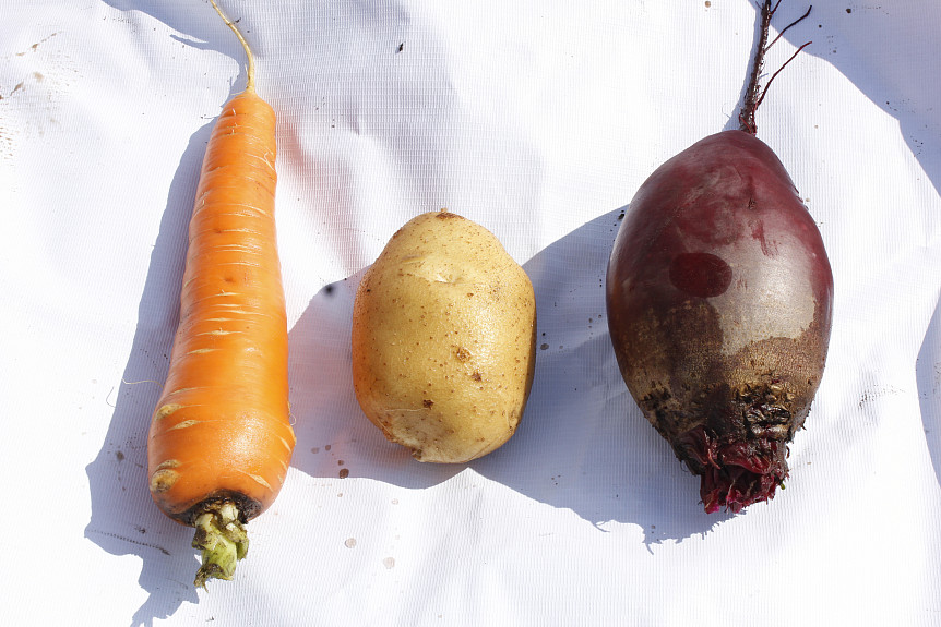 �����