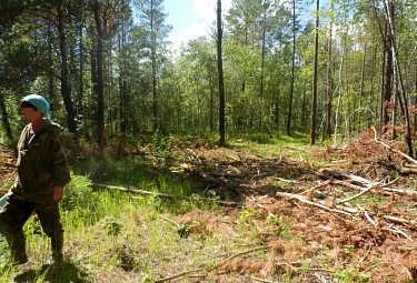 � ����� �������. ����� ����� ����� ������� ����