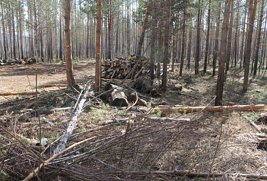 ��������� ���