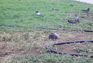 ������ ����������