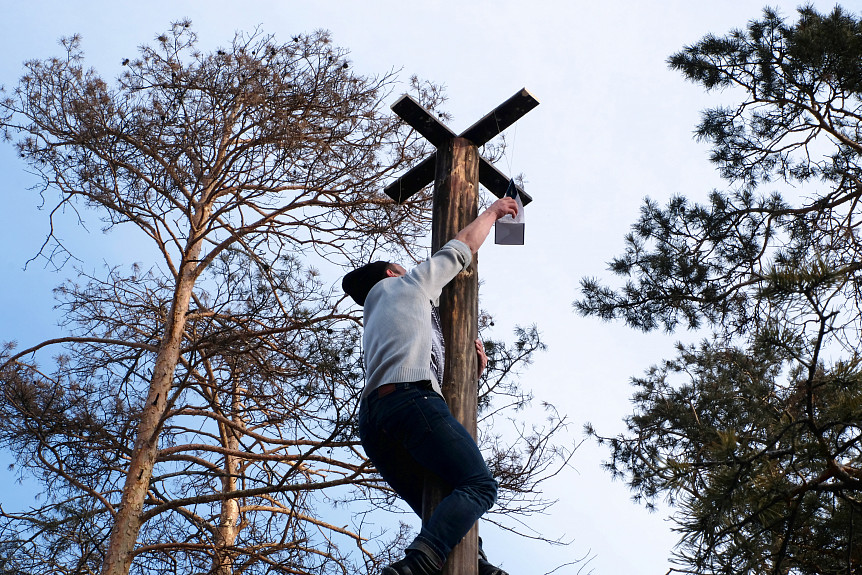 �������� ������ �� ���������. �������� �����, ����� ����