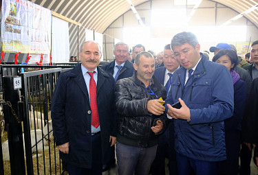 ����� ��������� (�����), ������ ������� (� ������), ������� ������� (� �����, ������). ����-������ ������� (������ ��������)