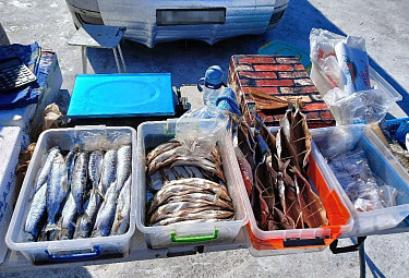 ������ �����. ������� �������� ��������� ����� �����. Outdoor fish market in Russia