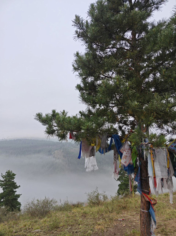 ����� � ������������ ����������� ���������� �� ������ - �� ���� ��������� ����