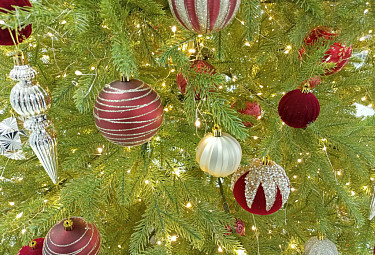 ���������� ���� � �����������, ����������� ���������. Christmas tree