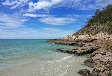 �������. ����� ������