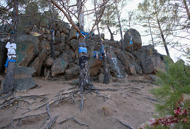 �������. �������� ���� ������ ���. �������������� �����