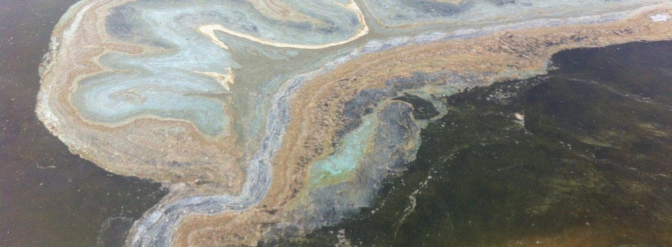 Загрязнение воды байкала. Загрязнение реки Байкал-. Селенга загрязняет Байкал. Загрязненный Байкал нефтепродуктами. Загрязнение Байкала нефтепродуктами.