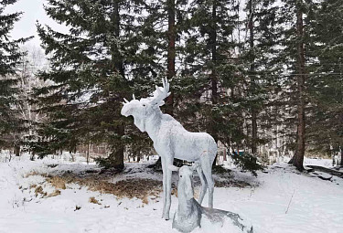 ������ ��������� ���������� ����� �� ������� ����� � �������. ���������� ����� �������. ����. 2023 ���. Moose sculpture