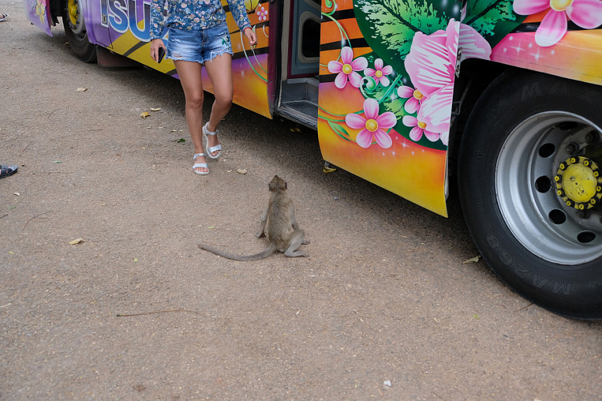 ������� � �������� ����� �������������� ��������. Tourists in Thailand