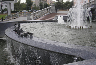 ������ �� ���� �������