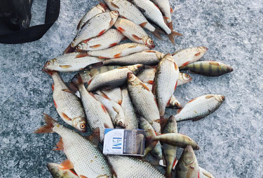 ��������� �������. ��������� ���� ����� �� �����