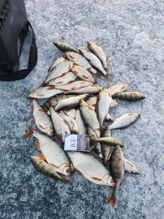 ��������� �������. ��������� ���� ����� �� �����