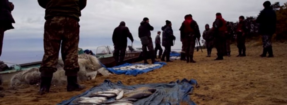 В Байкальском заповеднике вновь задержаны браконьеры совместную охоту по лицензии В Байкальском заповеднике вновь задержаны браконьеры совместную охоту по лицензии