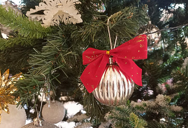 ���������� ���������� ����