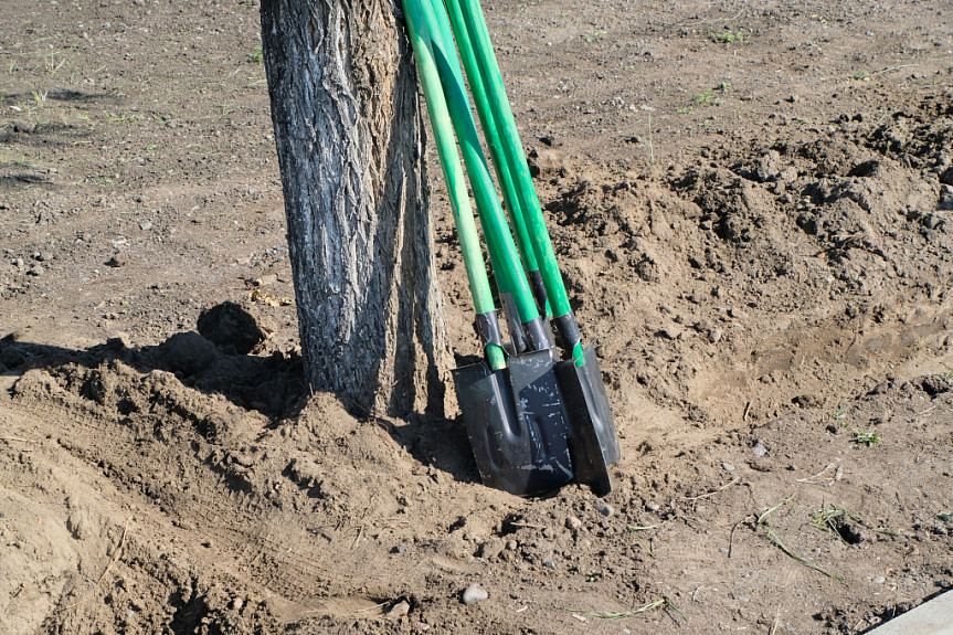 ������� �����������. ��������� �������� ����� ���������� � ������. A few shovels
