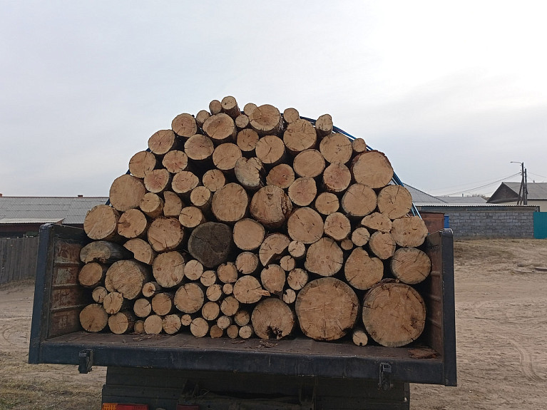 ������ ����. Firewood