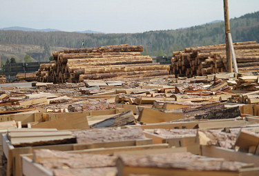 ����� ���������