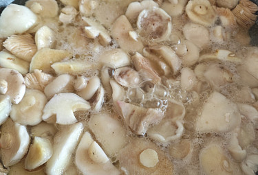 , .   .  . Mushrooms