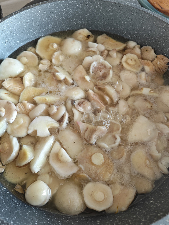 , .   .  . Mushrooms